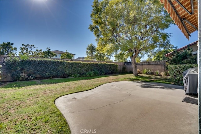 view of yard with a patio area