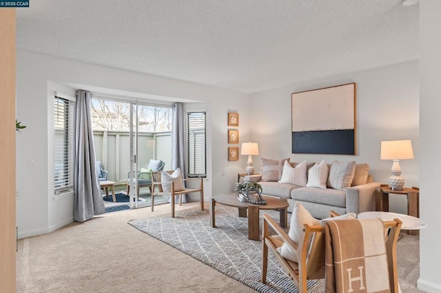 carpeted living room with a textured ceiling