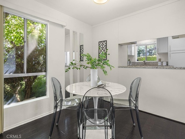 dining space featuring dark wood-type flooring