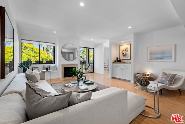 living room with light hardwood / wood-style flooring