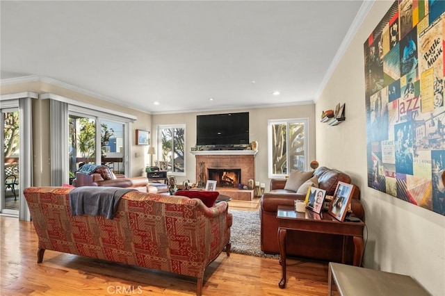 living room featuring crown molding and light hardwood / wood-style flooring