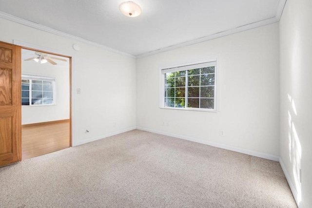 carpeted empty room with ceiling fan and crown molding