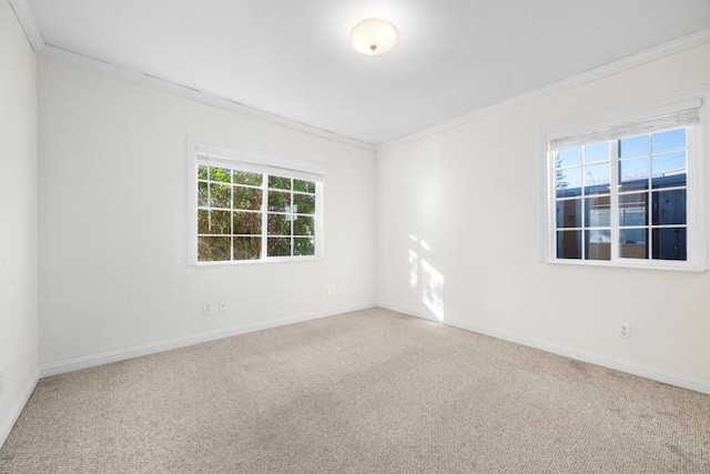 empty room featuring carpet and crown molding