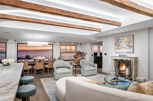 living room featuring a fireplace and dark wood-type flooring