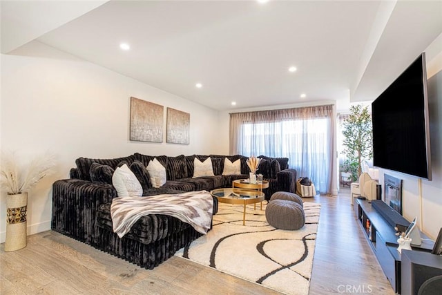 living room with light wood-type flooring