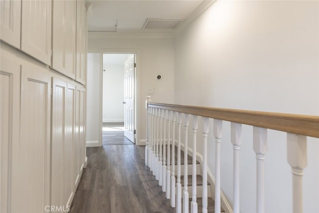 hall featuring crown molding and dark hardwood / wood-style flooring