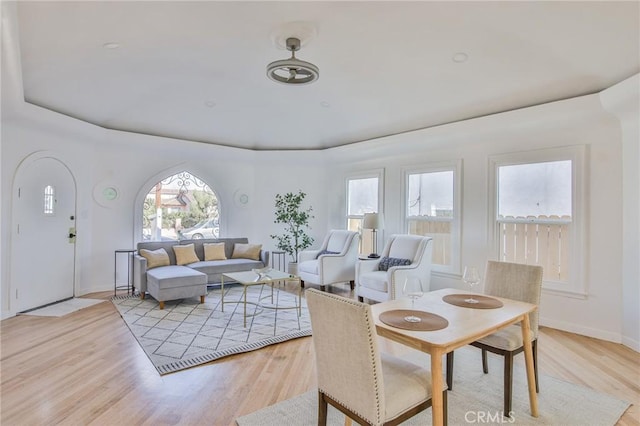 dining space featuring a raised ceiling and light hardwood / wood-style flooring