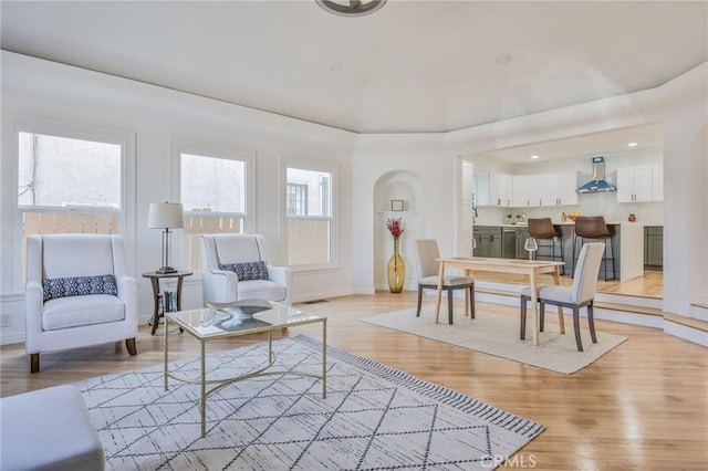 living room with a healthy amount of sunlight and light hardwood / wood-style flooring