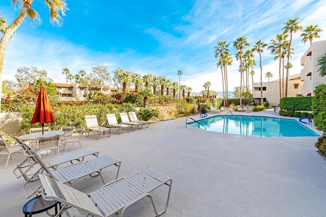 view of pool featuring a patio