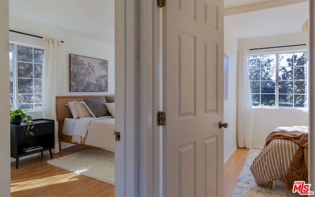 bedroom featuring light hardwood / wood-style floors