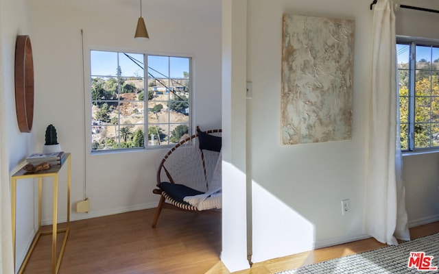 sitting room featuring light wood-type flooring and a wealth of natural light