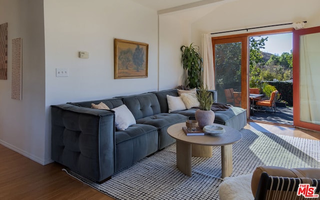 living room featuring hardwood / wood-style flooring