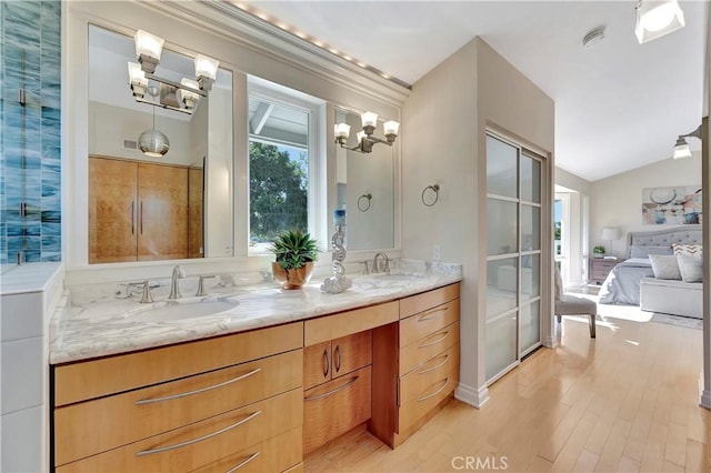 bathroom featuring lofted ceiling, wood-type flooring, and vanity