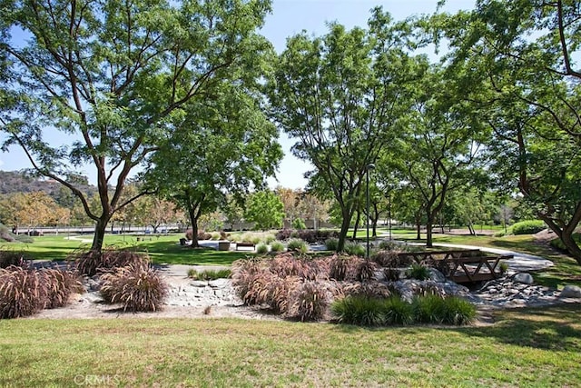 view of property's community with a yard