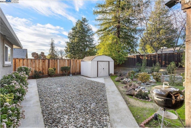 view of yard featuring a patio and a storage shed