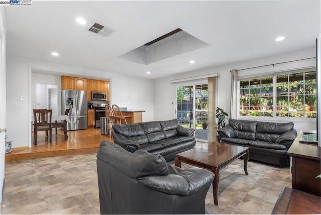 living room featuring a raised ceiling