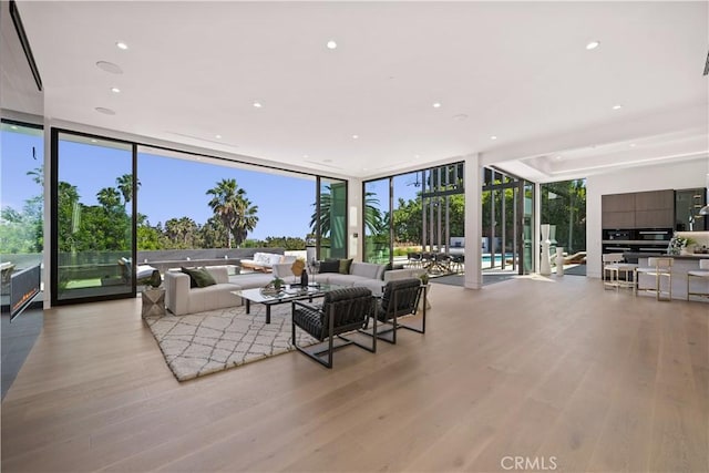 living room featuring light hardwood / wood-style flooring, a wealth of natural light, and a wall of windows