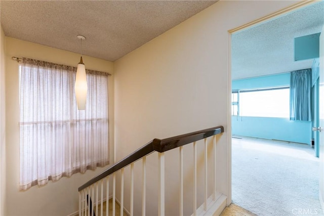 stairs featuring carpet and a textured ceiling