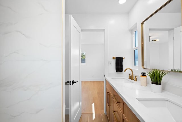 bathroom featuring wood-type flooring and vanity