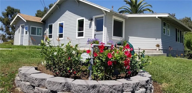 back of house featuring a yard