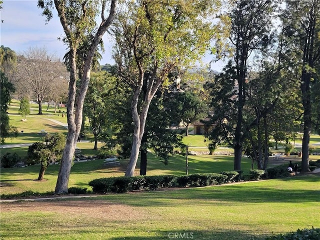 view of home's community with a lawn