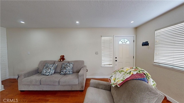 living room with a textured ceiling and hardwood / wood-style flooring