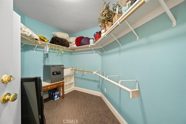 spacious closet with carpet