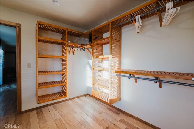 walk in closet featuring light hardwood / wood-style floors