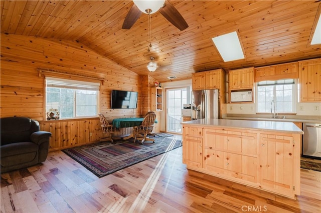 kitchen with wood walls, appliances with stainless steel finishes, light brown cabinetry, and a healthy amount of sunlight