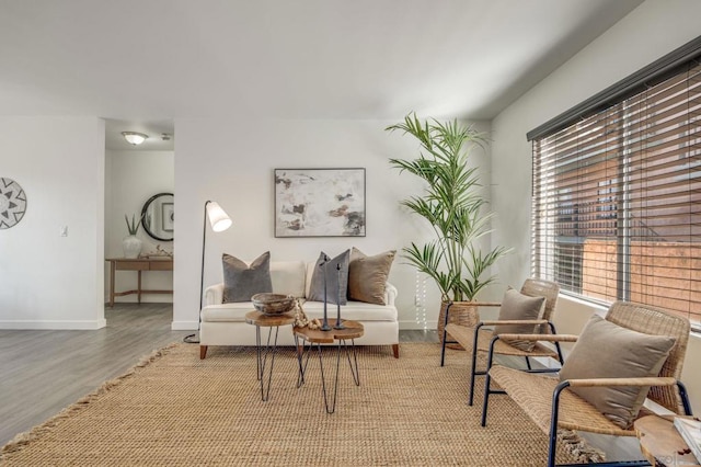 living area featuring hardwood / wood-style flooring