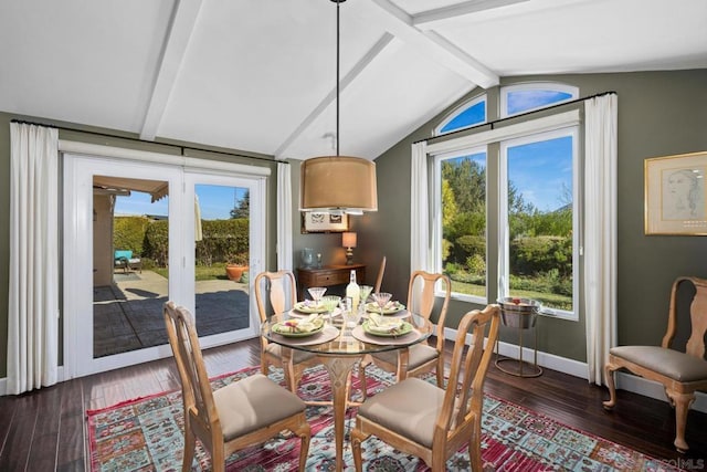 dining room with a wealth of natural light and dark hardwood / wood-style floors