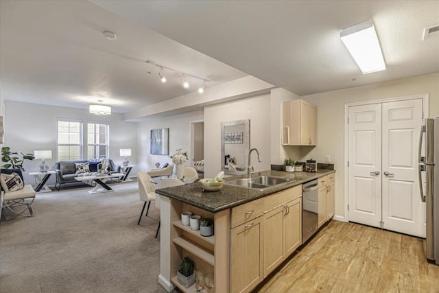 kitchen with sink, stainless steel appliances, light brown cabinets, track lighting, and light colored carpet