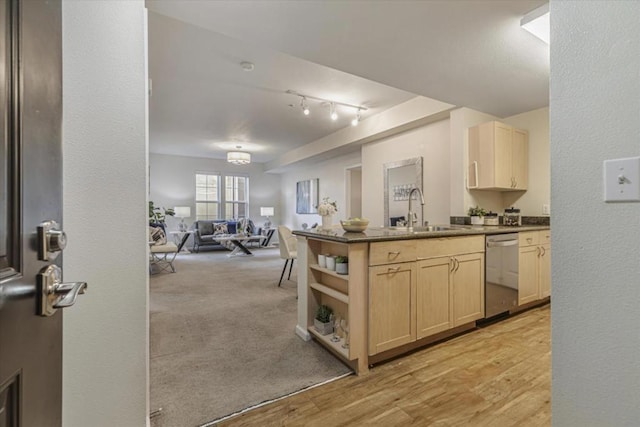 kitchen with rail lighting, light wood-type flooring, light brown cabinets, sink, and stainless steel dishwasher