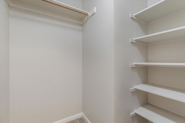 spacious closet with carpet