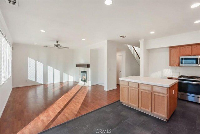 kitchen with ceiling fan, dark hardwood / wood-style flooring, stainless steel appliances, and a kitchen island