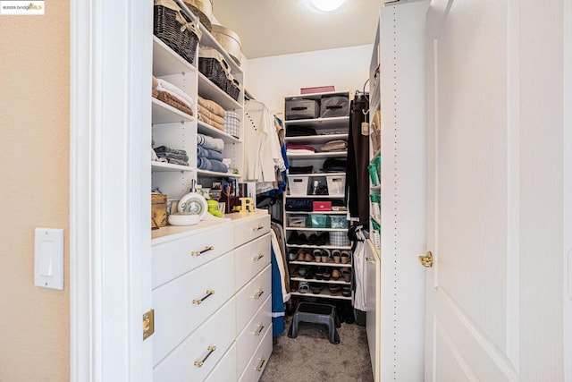 walk in closet featuring carpet flooring