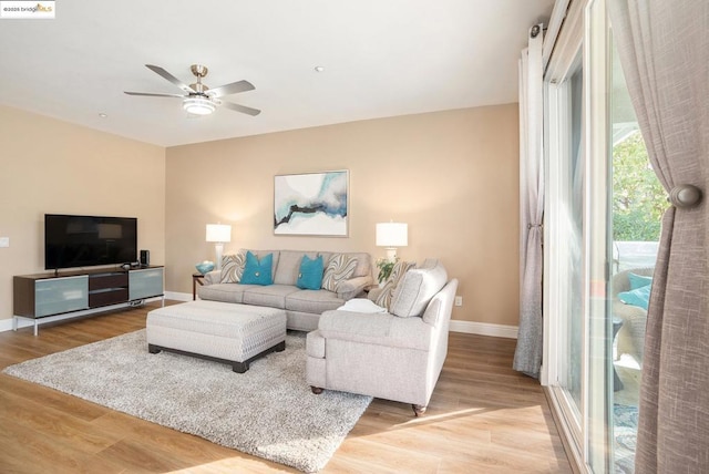 living room featuring ceiling fan and light hardwood / wood-style flooring