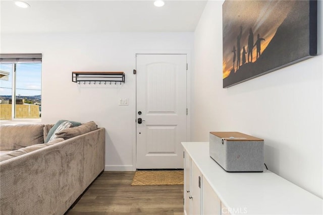 entryway with dark hardwood / wood-style flooring