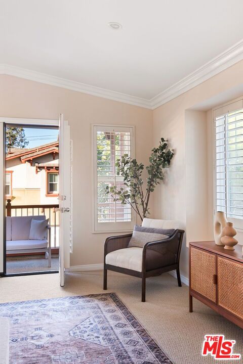 sitting room with carpet flooring and ornamental molding