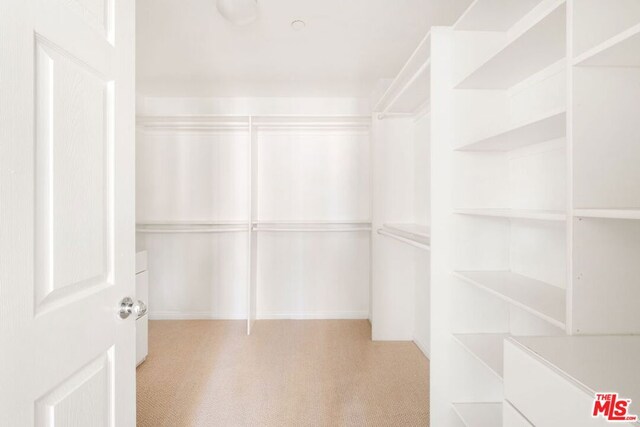 walk in closet with light colored carpet