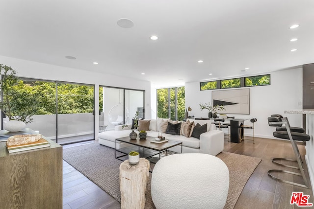 living room featuring hardwood / wood-style flooring