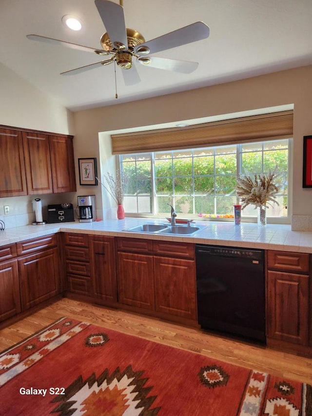 kitchen featuring lofted ceiling, sink, dishwasher, ceiling fan, and light hardwood / wood-style floors