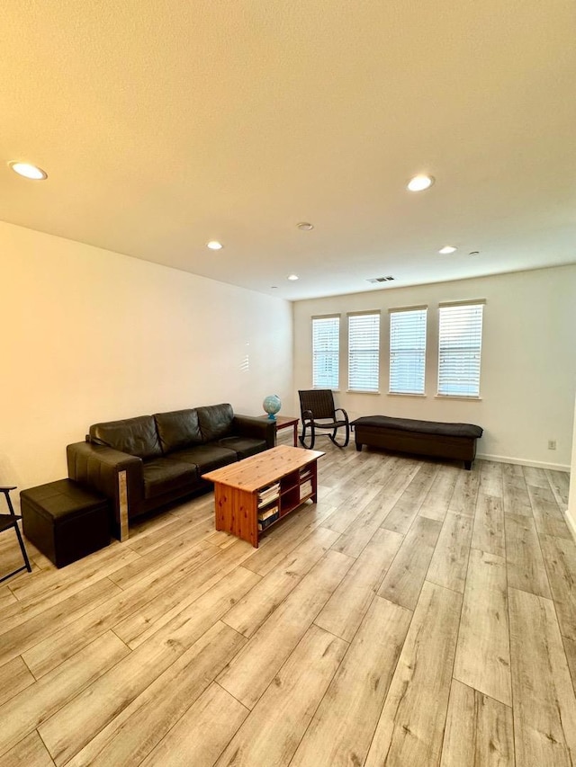 living room with light hardwood / wood-style flooring