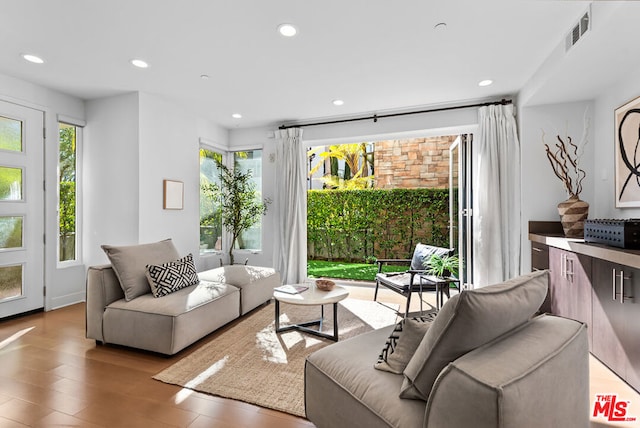 living room with wood-type flooring