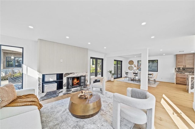 living room featuring a fireplace and light hardwood / wood-style floors