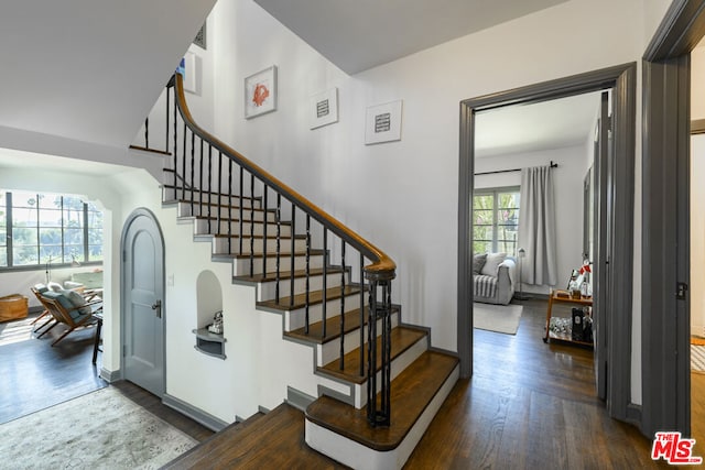 stairs featuring a healthy amount of sunlight and hardwood / wood-style floors