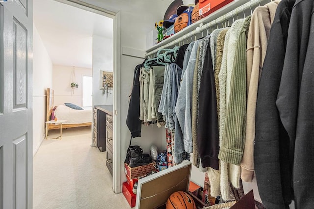 spacious closet with carpet floors