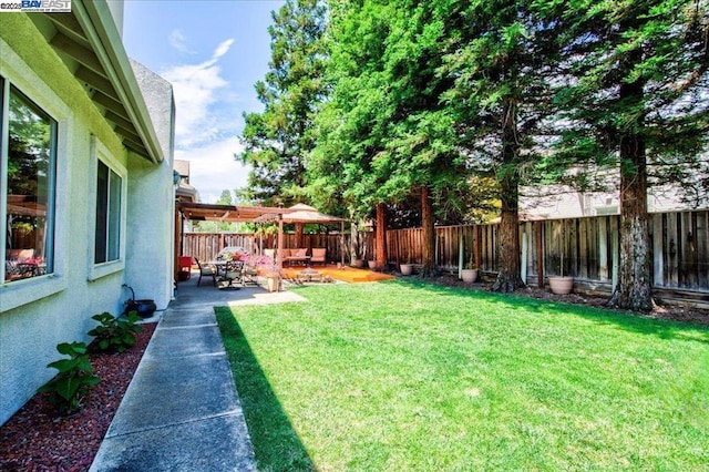 view of yard featuring a patio