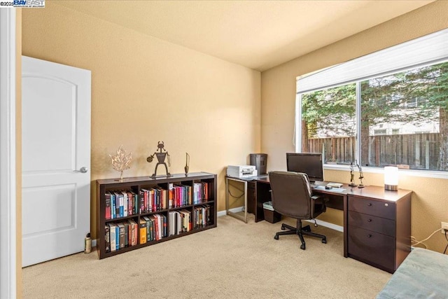 office area with light carpet