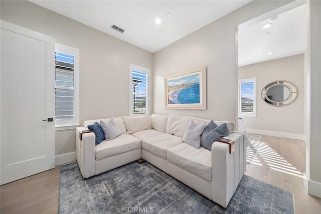 living room with a healthy amount of sunlight and hardwood / wood-style floors